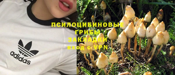 винт Балахна