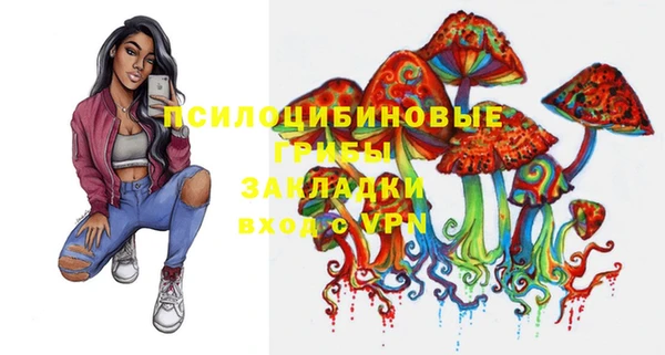 spice Баксан